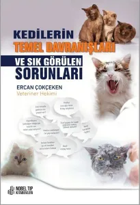 Kedilerin Temel Davranışları ve Sık Görülen Sorunlar