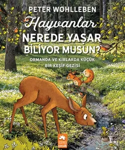 Hayvanlar Nerede Yaşar Biliyor Musun? Ormanda ve Kırlarda Küçük Bir Keşif Gezisi