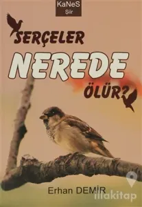 Serçeler Nerede Ölür?