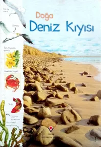 Doğa: Deniz Kıyısı