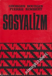 Sosyalizm -