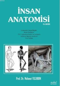 İnsan Anatomisi