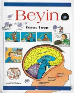 Beyin