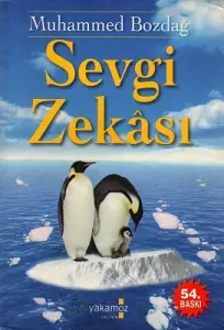 Sevgi Zekası