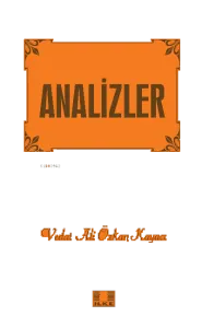 Analizler