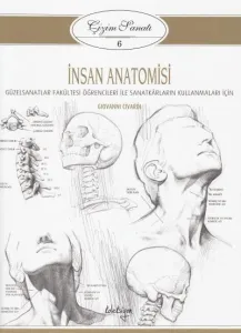 İnsan Anatomisi