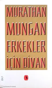 Erkekler İçin Divan