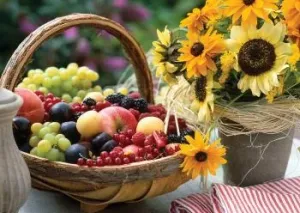 Fruit And Sunflower Puzzle 1000 11227
