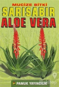 Mucize Bitki Sarı Sabır Aloe Vera (Bitki-017)