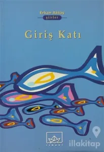 Giriş Katı