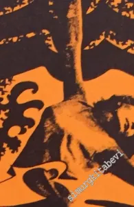 Aşk Güzel Şeydir -        1973