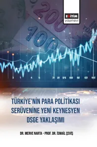 Türkiye’nin Para Politikasi Serüvenine Yeni Keynesyen DSGE Yaklaşımı