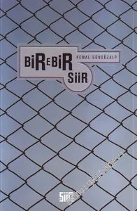 Birebir Şiir -         2009