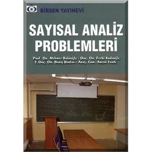 Birsen Sayısal Analiz Problemleri