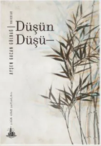 Düşün Düşü
