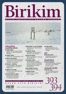 Birikim