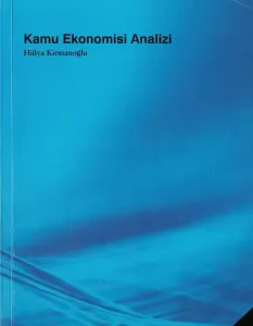 Kamu Ekonomisi Analizi