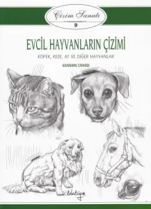 Evcil Hayvanların Çizimi