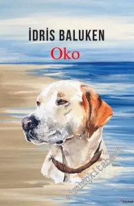 Oko -