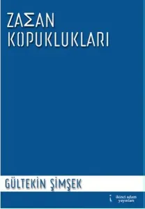 Zaman Kopuklukları