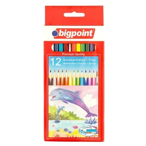 BP KURU BOYA KALEMİ AQUARELLE 12 RENK & SULU KURU BOYA FIRÇALI QQQ KAMPANYA