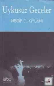 Uykusuz Geceler