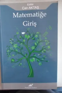 Matematiğe Giriş