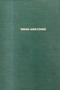 İnsan Anatomisi