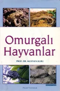 Omurgalı Hayvanlar