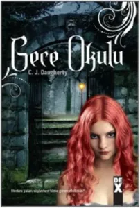 Gece Okulu