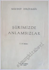 Şiirimizde Anlamsızlar -