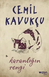 Karanlığın Rengi