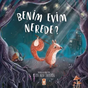 Benim Evim Nerede