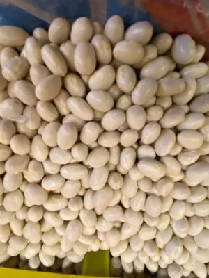 İSPİR FASULYESİ 1KG