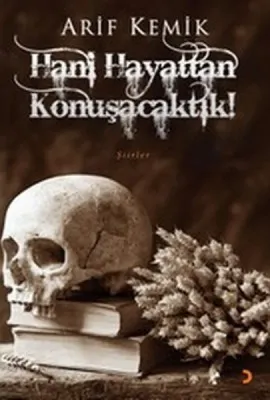 Hani Hayattan Konuşacaktık!