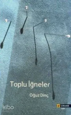 Toplu İğneler