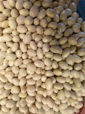 İSPİR FASULYESİ 1KG