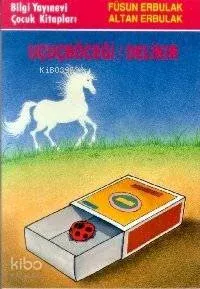 Uçuçböceği/delikır