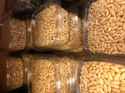 helvalık,dolmalık fıstık (500 gr )