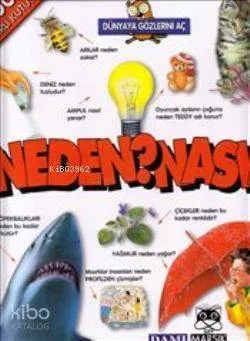 Neden Nasıl