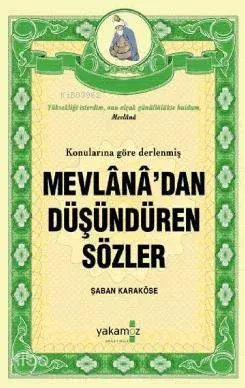 Mevlana'dan Düşündüren Sözler