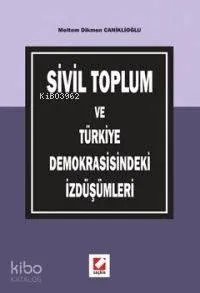 Sivil Toplum ve Türkiye Demokrasisindeki İzdüşümleri