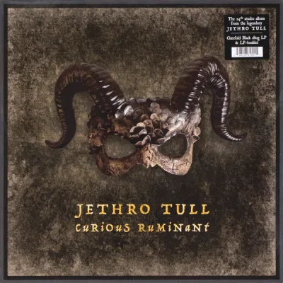 Jethro Tull – Curious Ruminant LP