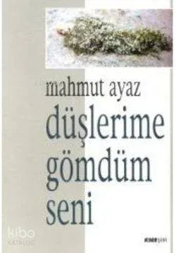 Düşlerime Gömdüm Seni
