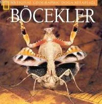 Böcekler