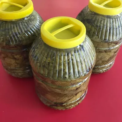 SALAMURA ASMA YAPRAĞI (5 KG LIK)