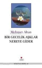 Bir Gecelik Aşklar Nereye Gider