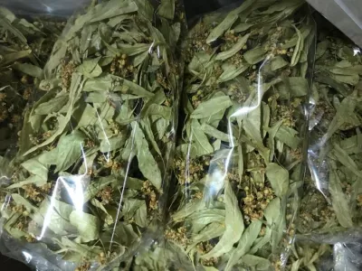 Ihlamur (50 gr) Ihlamur (50 gr)