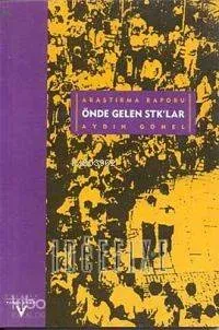 Önde Gelen Stk'lar Araştırma Raporu