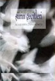 Şiirin Geçitleri